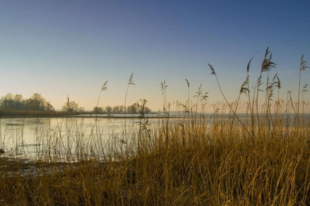 Bodensee Apartments, Sauna, Lake Walks, Free Parking, Self Checkin, Nature Reserve, Restaurants Nearby Gaissau  Buitenkant foto