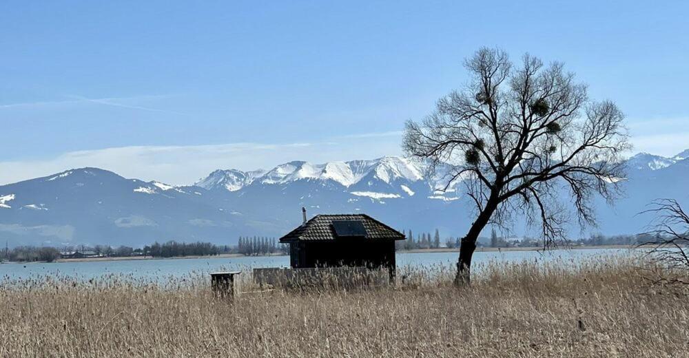 Bodensee Apartments, Sauna, Lake Walks, Free Parking, Self Checkin, Nature Reserve, Restaurants Nearby Gaissau  Buitenkant foto