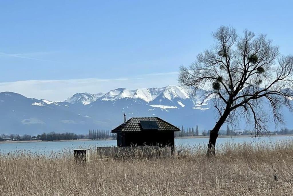 Bodensee Apartments, Sauna, Lake Walks, Free Parking, Self Checkin, Nature Reserve, Restaurants Nearby Gaissau  Buitenkant foto