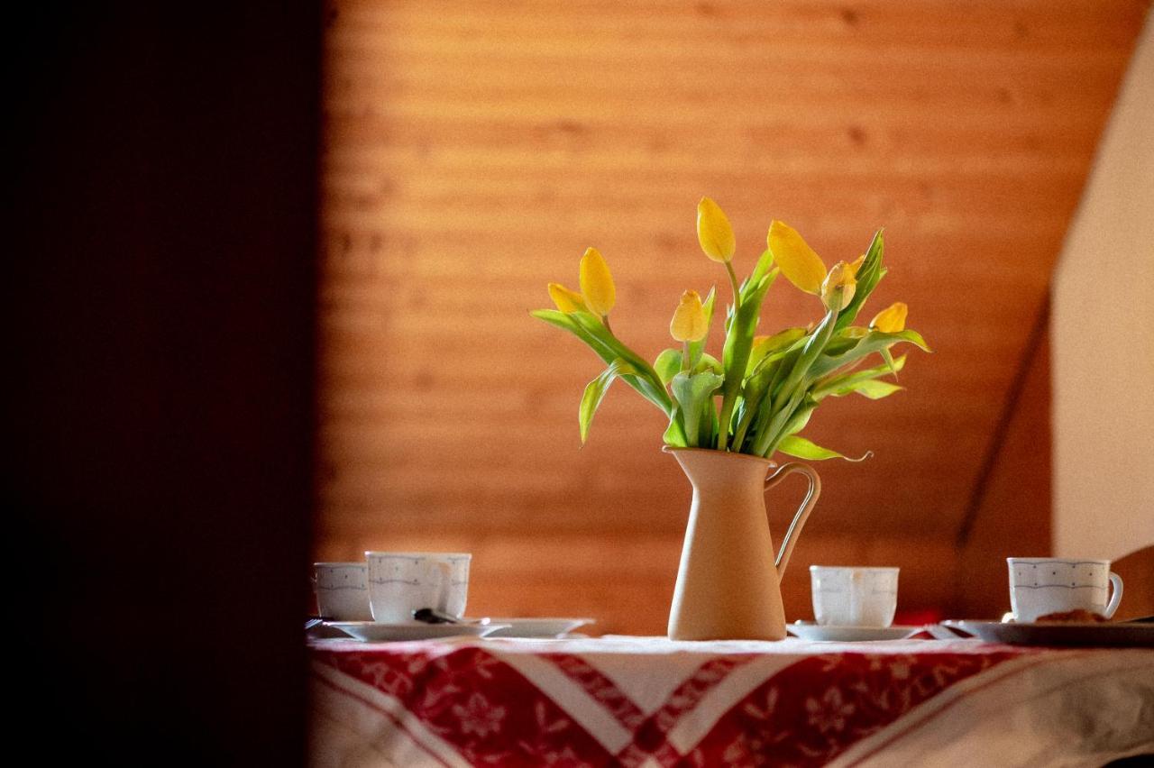 Bodensee Apartments, Sauna, Lake Walks, Free Parking, Self Checkin, Nature Reserve, Restaurants Nearby Gaissau  Buitenkant foto